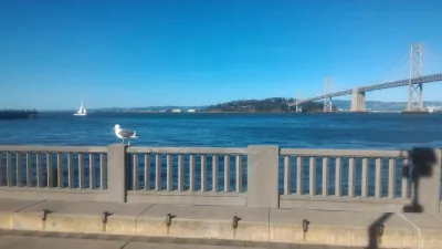 Camminando sul centro Embarcadero a San Francisco : Gabbiano di fronte alla baia di San Francisco