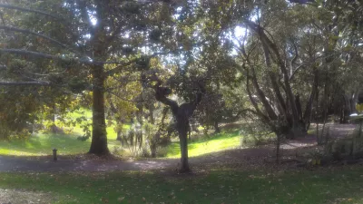 Une promenade dans le Western Park Auckland à Ponsonby : Jardin tropical dans le parc