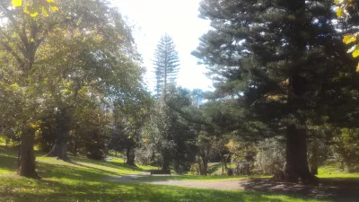 A walk in Western Park Oukland in Ponsonby : Park va shahar