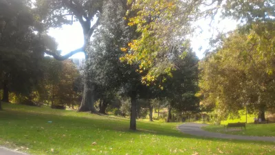 En tur i Western Park Auckland i Ponsonby : Træer og by